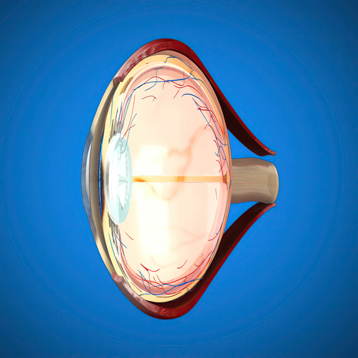 Understanding Glaucoma Symptoms, Causes, and Treatment